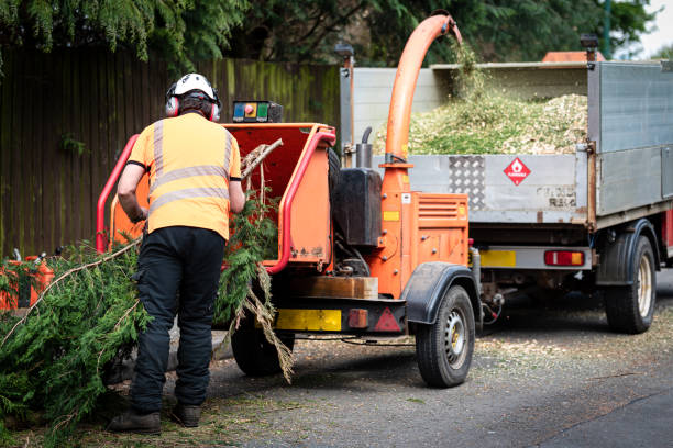 Best Weed Control  in Menands, NY