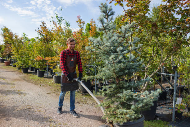 Best Aeration Services  in Menands, NY